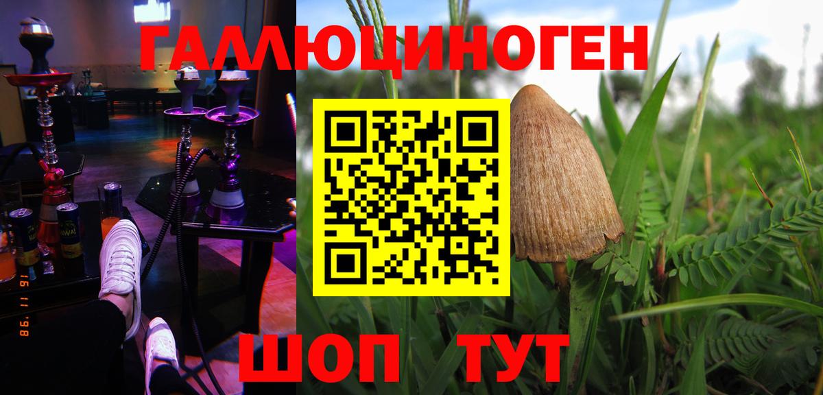 Моздок  Галлюциногенные грибы Magic Shrooms  Вход с VPN  Псилоцибиновые грибы Psilocybe 